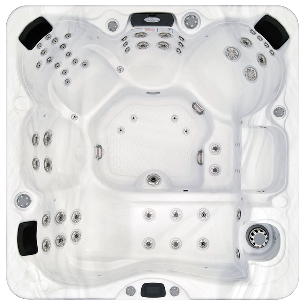 Hot tubs and swim spas for sale in Lakeland, Florida